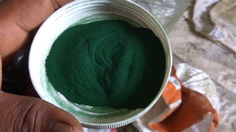 Spirulina Powder moisture meter|spirulina powder shelf life.